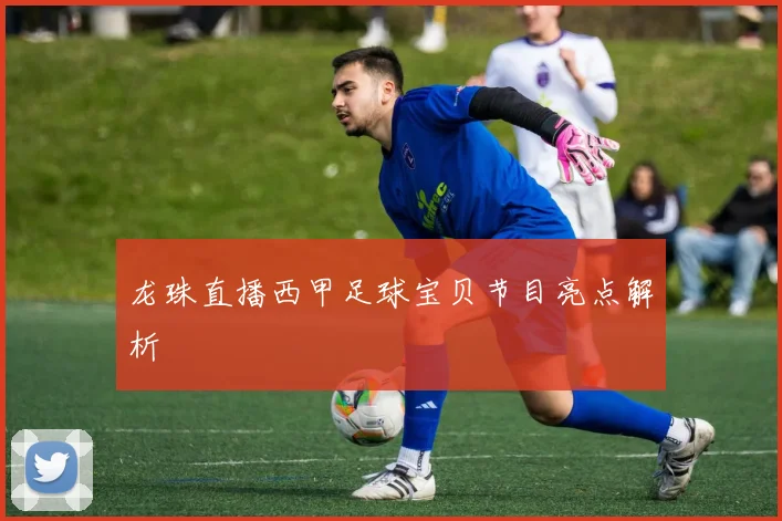 龙珠直播西甲足球宝贝节目亮点解析