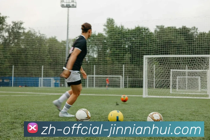 金年会体育平台生态图